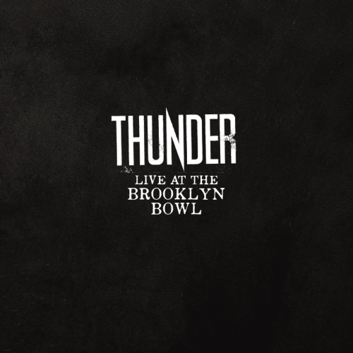 LIVE AT THE BROOKLYN BOWL ARTWORK Image